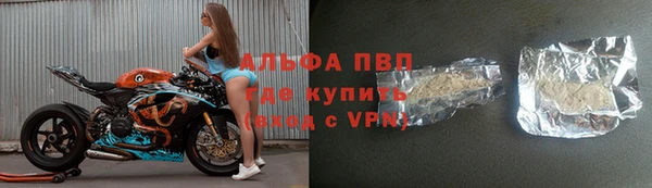 индика Армянск