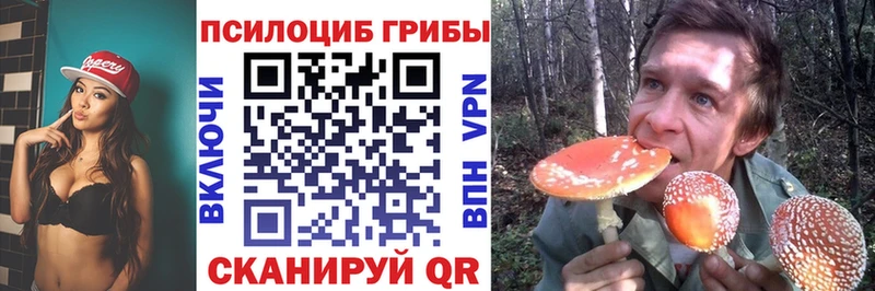 Галлюциногенные грибы ЛСД  Северобайкальск 